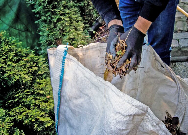 Employee volunteerism continues to grow