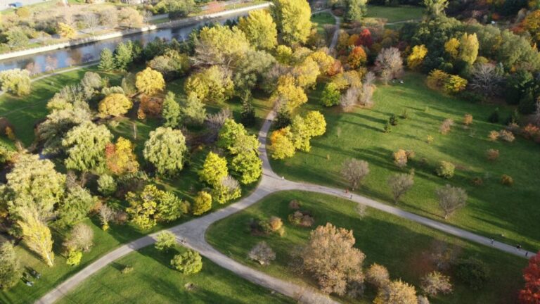 City-county council supports research for carbon credit program. Now what?  