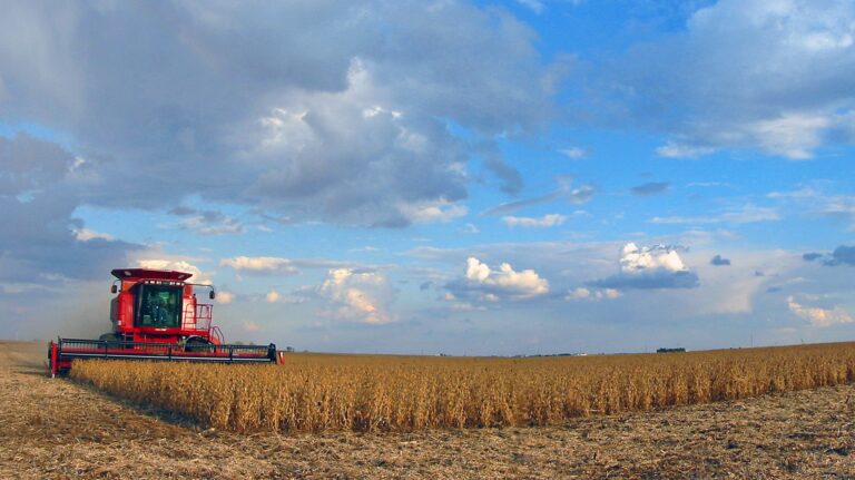 The way Indiana <a>grows</a> food is impacted by climate change. Local leaders can face the challenge head-on<br>