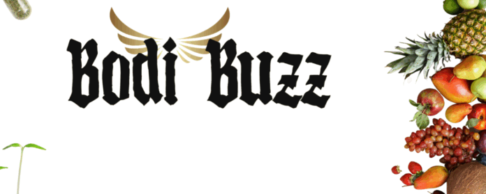 Bodi Buzz Logo
